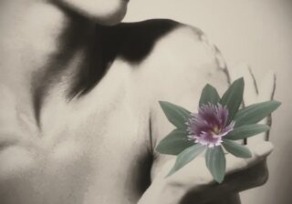 Aphrodisiac Massage: More Than a Simple Touch